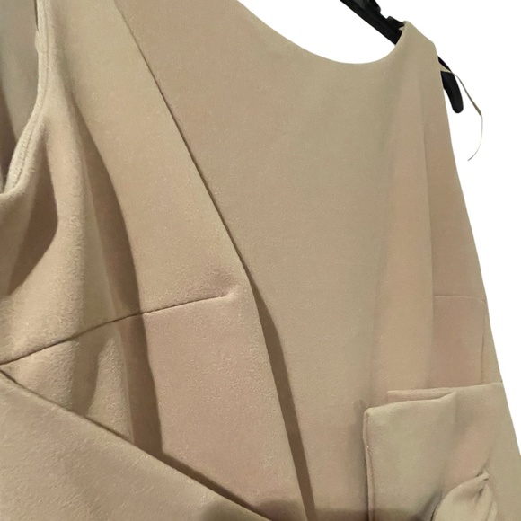 Betsy & Adam Sleeveless Ruffle Detail Dress Mauve Blush Size 8P - Picture 6 of 15